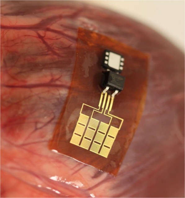 piezoelectric power plant strip